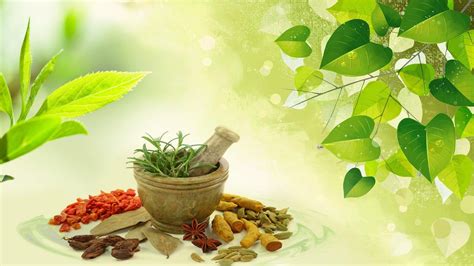 ayurveda pictures|free ayurveda images.